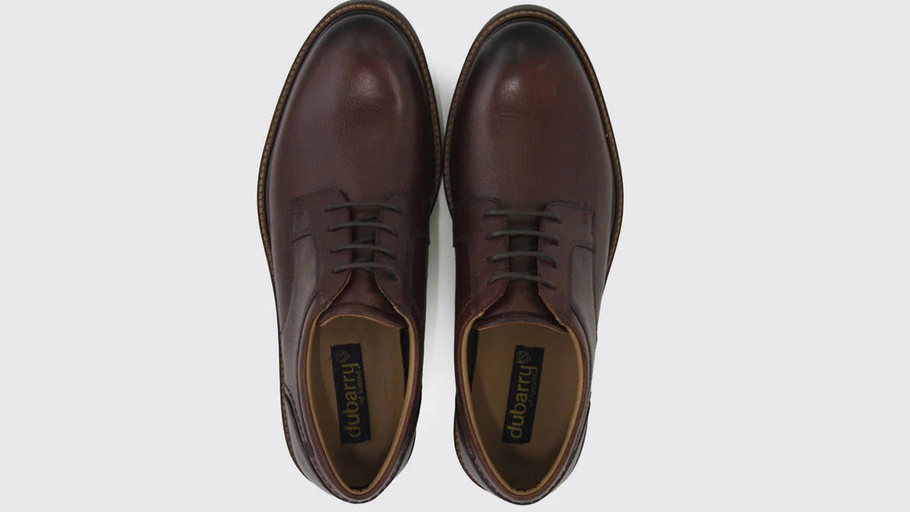 Pair of brown leather shoes on a white background