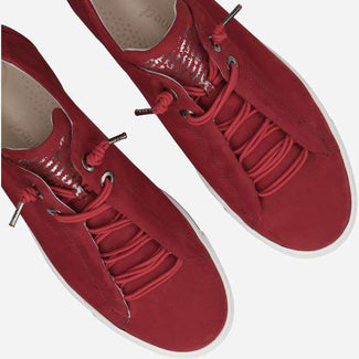 Paul Green 5017326- Trainer.