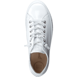 Paul Green 4081013- Trainer.