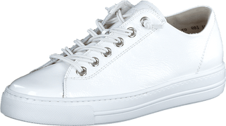 Paul Green 4081013- Trainer.