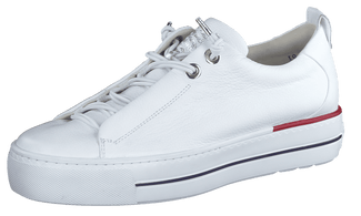 Paul Green 5017213-Trainer.